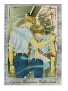 Caja Insertar Tarjeta-3 Tarjetas Coleccionables Especiales Colección Ayano Yamane - Imagen 1 de 4