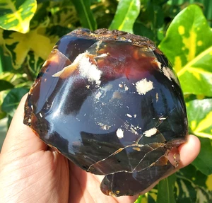 217 GR Natural Amber Stone Rough Mirror Partly Polished Specimen - Picture 1 of 18