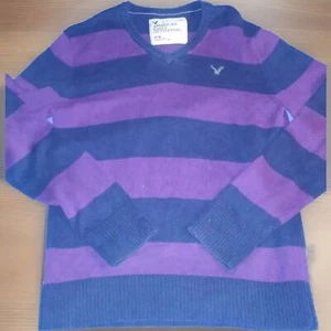 American Eagle Outfitters Navy purple Striped Long Sleeve V Neck Sweater - Picture 1 of 4
