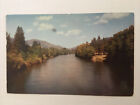 Rogue River Southern Oregon 1956 Vintage Postcard