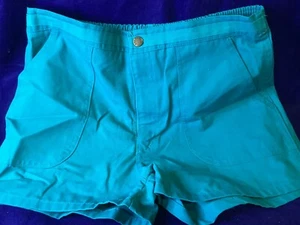 Vintage Islander Mens Teal Short Shorts Polyester/Cotton Size 38 - Picture 1 of 5