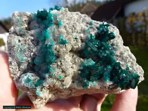 Dioptase aus dem Congo # 2 - Bild 1 von 5