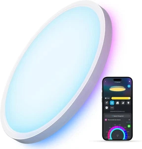 Smart Ceiling Light, RGBIC LED Ceiling Light Fixture, 2400LM Flush Mount Light F - Picture 1 of 12
