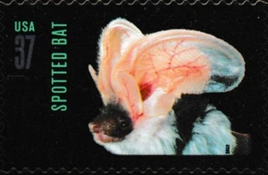 US 3664 Night Friends American Bats Spotted Bat 37c single MNH 2002 - Picture 1 of 1