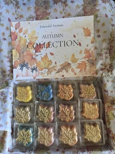 Wax Melts Autumn Collection Blätter Limited Edition Box Set 12 Düfte PORTOFREI - Bild 1 von 2