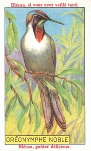 Cromos Bledine Blécao - Oreonymphe Noble - Bild 1 von 2