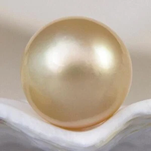 South Sea Pearl Golden Round 9.55 mm Maluku Indonesia 1.23 g undrilled - Picture 1 of 16