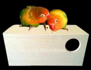 Nido Doppia Camera Per Agapornis Nido Cova In Legno Inseparabili - Foto 1 di 2