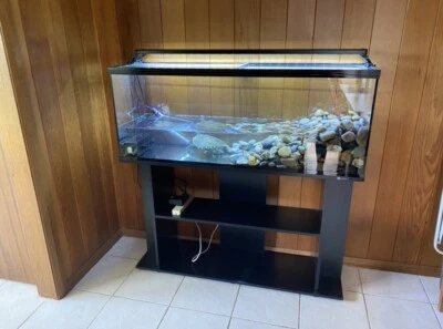 Fish / Reptile Tank 4ft With Stand & Filter - image 1 of 2