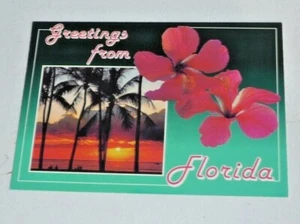 CARTOLINA VINTAGE 4X6 SALUTI DA PALME E FIORI FLORIDA - Foto 1 di 2