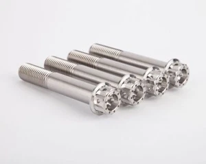 MOTOCORSE FRONT BRAKE CALIPERS TITANIUM SCREWS KIT FOR MV AGUSTA F4 1000 RC 2012 - Picture 1 of 10