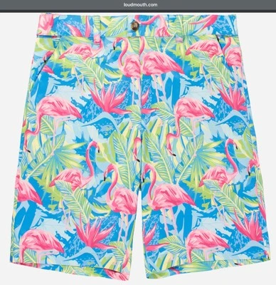 NEW W/Bag Loudmouth Golf Heritage Short 9” Flamingo Jungle Sz36 NWT Out Of Stock - Image 1 of 4