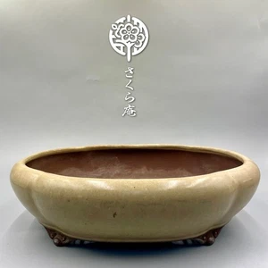 Japanischer Bonsái Topf "YAMAAKI 山秋" B: 33 cm 13,0 Zoll/L: 11,4 Zoll/H: 3,7 Zoll aus Japan #292 - Bild 1 von 11