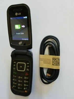Móvil simple LG440G abatible prepago Tracfone State Obama LG Tapita Flipphone Foto 1 de 4