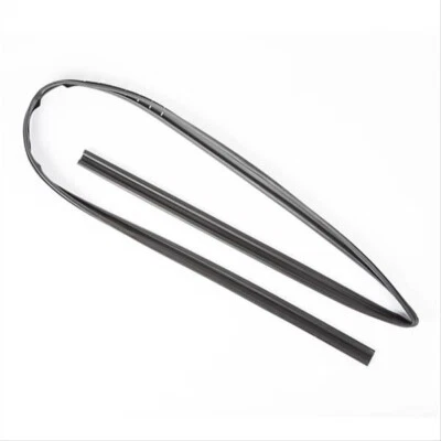 Canal de vidrio para puerta Omix L o R para Jeep Wrangler TJ 97-06 Foto 1 de 4