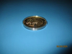 Seltene ovale Münze General Robert E. Lee mit Diamant-Effekt-Finish - Bild 1 von 8