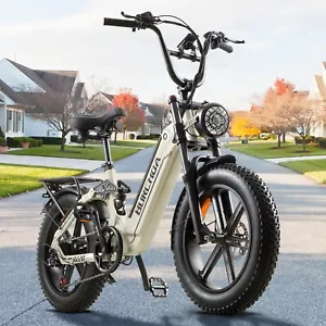 750W eBike 25km/h Elektrofahrrad 20 Zoll E Mountainbike 48V 20Ah Moped ebike - Bild 1 von 24