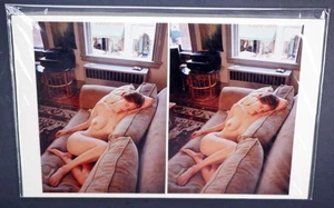 Boris Starosta 3D Stereoview - 2. Terri 2105 - nude model signed 2003 #120 - Picture 1 of 2