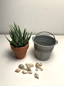 American Girl Doll 18" Patio Decorations Aloe Plant Metal Bucket Seashells Beach - Picture 1 of 7