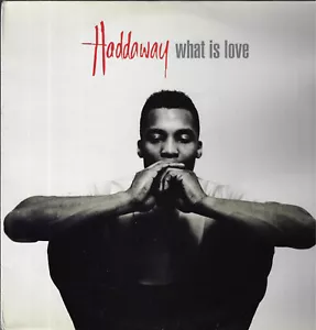 Haddaway What Is Love COCONUT 1992 HOLLAND DISCO VINILE 33 GIRI AC11 86988 - Foto 1 di 4