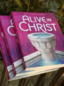 5 KINDERLEHRBÜCHER SCHULBÜCHER LEBENDIG IN CHRISTUS UNSER SONNTAGSBESUCHER - Bild 1 von 17