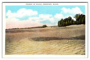 Freeport Maine Desert Sand Ripples Landscape - Picture 1 of 2