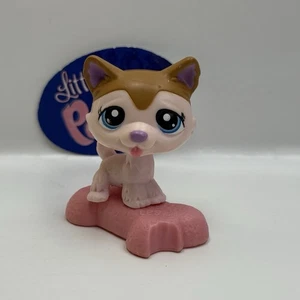 HUSKY DOG #McDonald’s - Authentic Littlest Pet Shop - Hasbro LPS - Picture 1 of 4