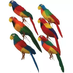Colorful Parrot Feather Ornaments 6 inch mixed colors per set of SIX (6) - Picture 1 of 2