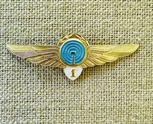 Vintage Aeroflot Airlines Class 1 Wings Badge Pin Soviet Era Russia - Picture 1 of 2