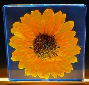 2.9" Real Orange Sunflower in Clear Lucite Resin Paperweight Display Decor Gift - Picture 1 of 10