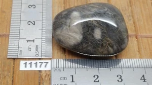 JASPE FEUILLE D'ARGENT pierre roulee TOP mineraux lithotherapie reiki collection - Picture 1 of 2