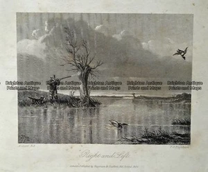 Antique Print 232-504 Hunting ducks by Engleheart c.1872 Hunting - Picture 1 of 1