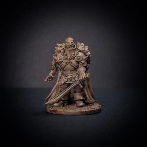 Knucklebones Miniatures Witch Hunter Captain X1 28mm Frostgrave Pathfinder D&D - Picture 1 of 8