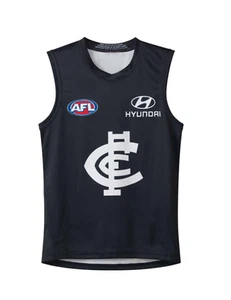 Carlton Blues Home Guernsey AFL Football Jersey Jumper Youth Adult Sizes - Picture 1 of 3