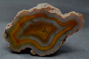 Condor agate collector specimen CK15 - Picture 1 of 3