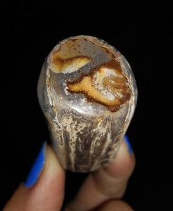 MADERA PETRIFICADA RARA, FÓSIL DE CALCEDONIA BOTRIOIDAL DE JAVA, INDONESIA, 40 MM - Imagen 1 de 5