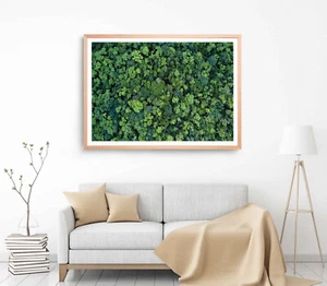 Impresión aérea forestal, arte de pared de árboles, arte de pared forestal enmarcado en árboles, natural - Imagen 1 de 5