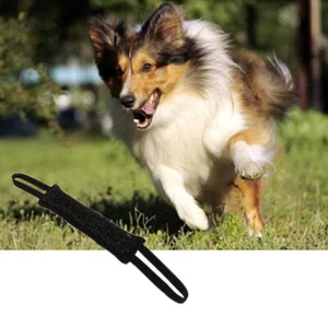 Beißwurst Beißrolle Trainingsdummy Hunde Training Dummy - Bild 1 von 8
