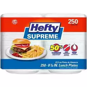 Hefty Supreme Foam Disposable Lunch Plates, 8 7/8", 250 ct. - Picture 1 of 5