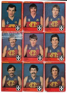 1982 Scanlens FITZROY Team Set (15 Cards) - Picture 1 of 4