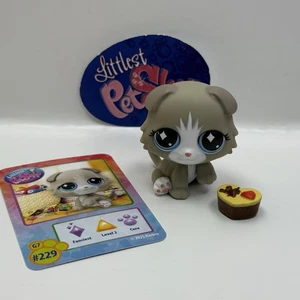 KÄTZCHEN KATZE #G7 #229 mit Zubehör - Original Littlest Pet Shop - Hasbro LPS - Bild 1 von 5