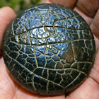Natural Gobi Agate "Tortoise Back Pattern" Stone Moire Stone Collection Specimen