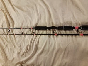 Custom Fish Pole - Picture 1 of 12