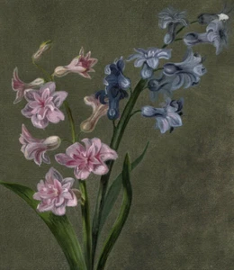 Antique Drawing Original 19th century Pink, Blue Flowers Bouquet, Floral Artwork - Picture 1 of 8
