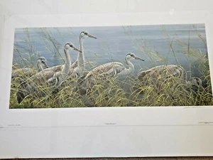 Robert Bateman print "Young Sandhill Cranes" - Picture 1 of 1