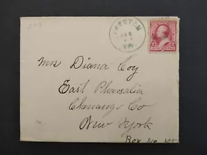New York: Preston 1891 Cover, Green CDS, DPO Chenango Co - Bild 1 von 2