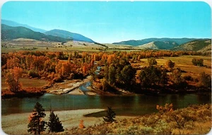 Travelers Rest Creek near Lolo MT POSTCARD - Picture 1 of 2