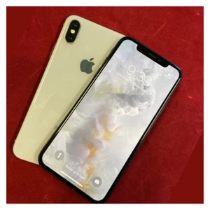 Apple iPhone XS Nieskazitelny stan Odblokowany Verizon At&t T-Mobile 64GB 256GB   - Zdjęcie 1 z 8