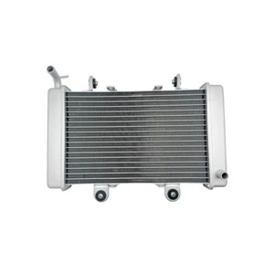 Cooling Radiator Assy for Shineray 250cc ST-9E XY250ST-9E Racing ATV Quad - Picture 1 of 9