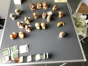 „Thun-Wildtiere“-Afrika, 20Stück aus Vitrine, zum Teil mit der OVP, Top Zustand - Bild 1 von 3